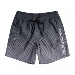 quiksilver Everyday Warped Logo 17″swimshorts